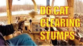 D6 CAT CLEARING STUMPS Standard shift Dozer #Firewood