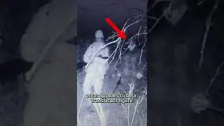 Ghost Caught On Trail Camera. #ghost #ghoststory #spooky #horrorstory #ghoststories