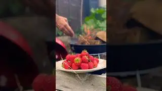 Strawberry Jam, But Make It SMOKY