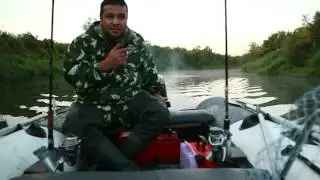 Туда ли мы плывем?