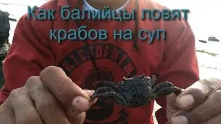 Как ловить крабов на Бали