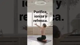 Sulion - BRISA - Ventilador de techo con purificador de aire