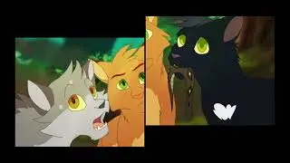 коты воители Огнезвёзд песня Believer