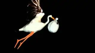детские переходы 10
