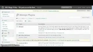 SEO | Magic8-SEO | Updating WordPress Plugins