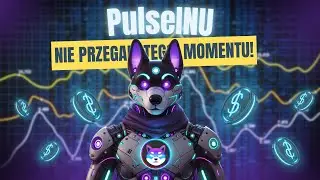 Czy PulseINU - pierwszy MEMCOIN na PulseChain zaskoczy po raz kolejny?