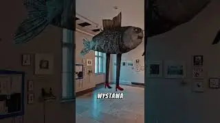 Darmowe muzea w Gdańsku tej wiosny!