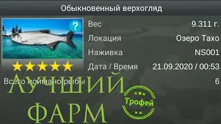 | My Fishing World | FARM for subscribers | common Verkhoglyad |
