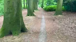 Erik Evermore - Some Brilliant Nature Walks