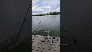 Велетенська ПЛОТВА😱 