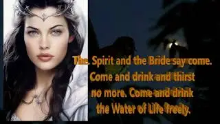 The Nightingale's Call