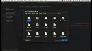 API Calling with Network Manager in MVVM - SwiftUI 2024 Tutorial