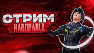 тест обновы на адекватность / iPhone 14 pro STREAM