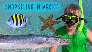 Snorkeling in Cancun, Mexico