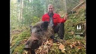 Keiler Au Bon Poste Chasse aux Sangliers en Battue Blaser R8