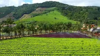 Vem ver que Comunidade Rural mais Linda, Córrego do Rio Preto MG.