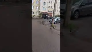 утки у подъезда