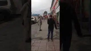 Накуреные животные