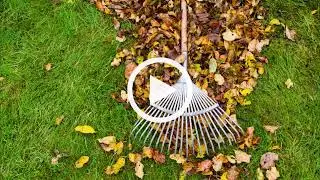 Autumn Gardening Tips with Dr Uwe & Graham Ross