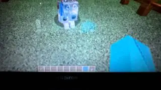 для чего нужна бирка в minecraft