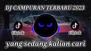 DJ TERBARU VIRAL TIKTOK TERBARU 2024
