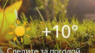 1080x1080 Bro leaf fall sunny +10 1020 3