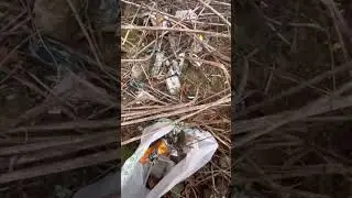 А как бы вы поступили? #сочи #переезд #подпишись #уборка