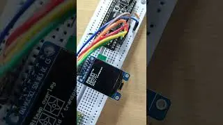 Display on SH1107 SPI OLED with RP2040 using U8g2, in Arduino framework.
