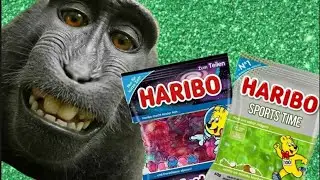 С пачкой желеек вкуснее смотреть на закат