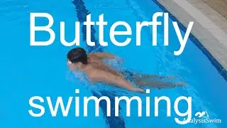 Butterfly swimming