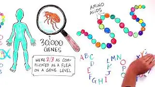 Glyphosate in the soil / in our food chain - Dr. Zach Bush