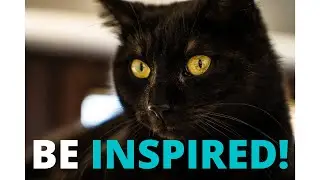 Be Inspired! | Best Motivational Quotes