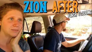 Zion National Park after Flash Flooding