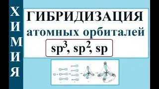 Органика. Виды гибридизации орбиталей (sp-, sp2-, sp3-гибридизация)