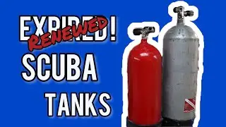 Scuba Tank HP 3500  SP 9791 Renewed