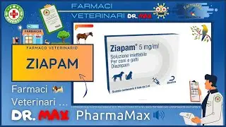 🐶 ZIAPAM Farmaco Veterinario a cosa serve ? - Foglietto Illustrativo Salute