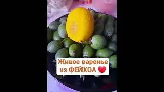 ЭКЗОТИЧЕСКОЕ ЖИВОЕ ВАРЕНЬЕ ИЗ ФЕЙХОА #фейхоа #recipes #варенье #рекомендации #рецепты