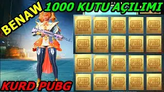 1000 KUTU AÇILIMI KURD BENAW PUBG MOBILE