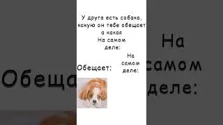 Ребята, у меня к вам вопрос снимать мне undertale или нет?  #мем #memes