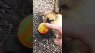 массаж бороды🤣🤣🤣