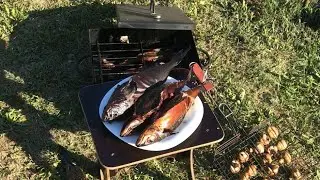 Коптим рыбу-быстрый рецепт засолки (приготовления)
