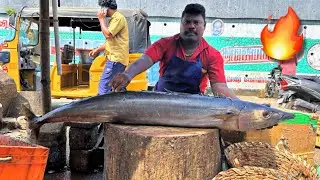 RARE SEER x MAYIL KOLA BREED WITH FIN (AKA) FAKE VANJARAM | SELVAM💥FISH CUTTING