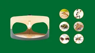 Sticky Dome Flea Trap