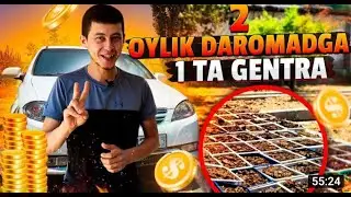 Биагомус Бизнеси