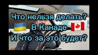 Правило поведения на природе,за рулем и в обществе в Канаде!