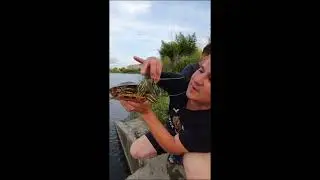 в Сочи на Чистых прудах !