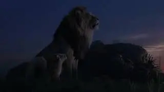 فيلم سيمبا 2020 اكشن جديد ومغامرات