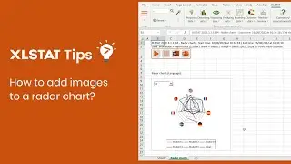 How to add images to a Radar plot? - XLSTAT Tips
