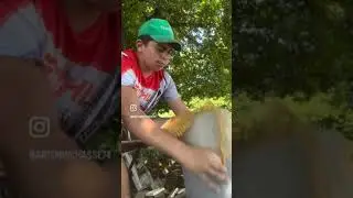 Comment faire son petit bois gratuitement