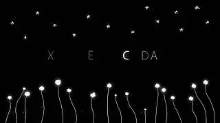 EXCELLENT CADAVER